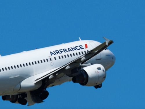 Un vol Air France retardé… à cause d’un chien !